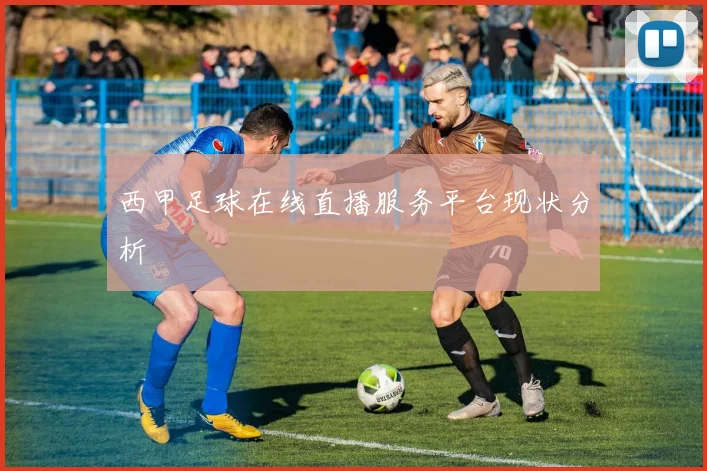 西甲足球在线直播服务平台现状分析